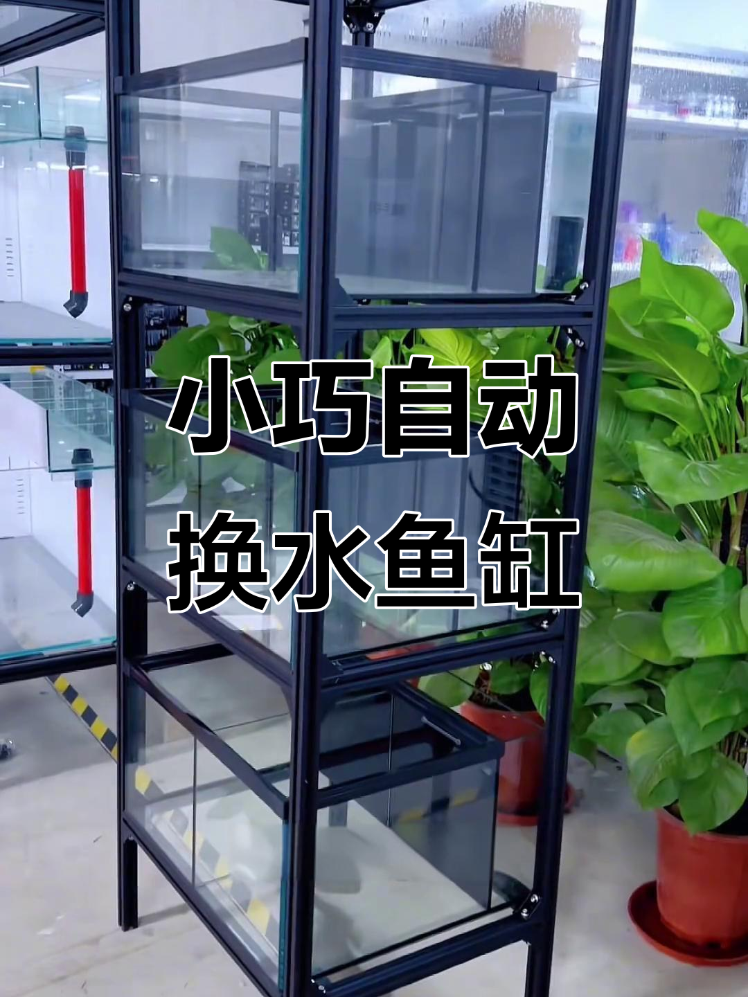 迷你自动换水鱼缸,轻松养雷龙,空间不占多
