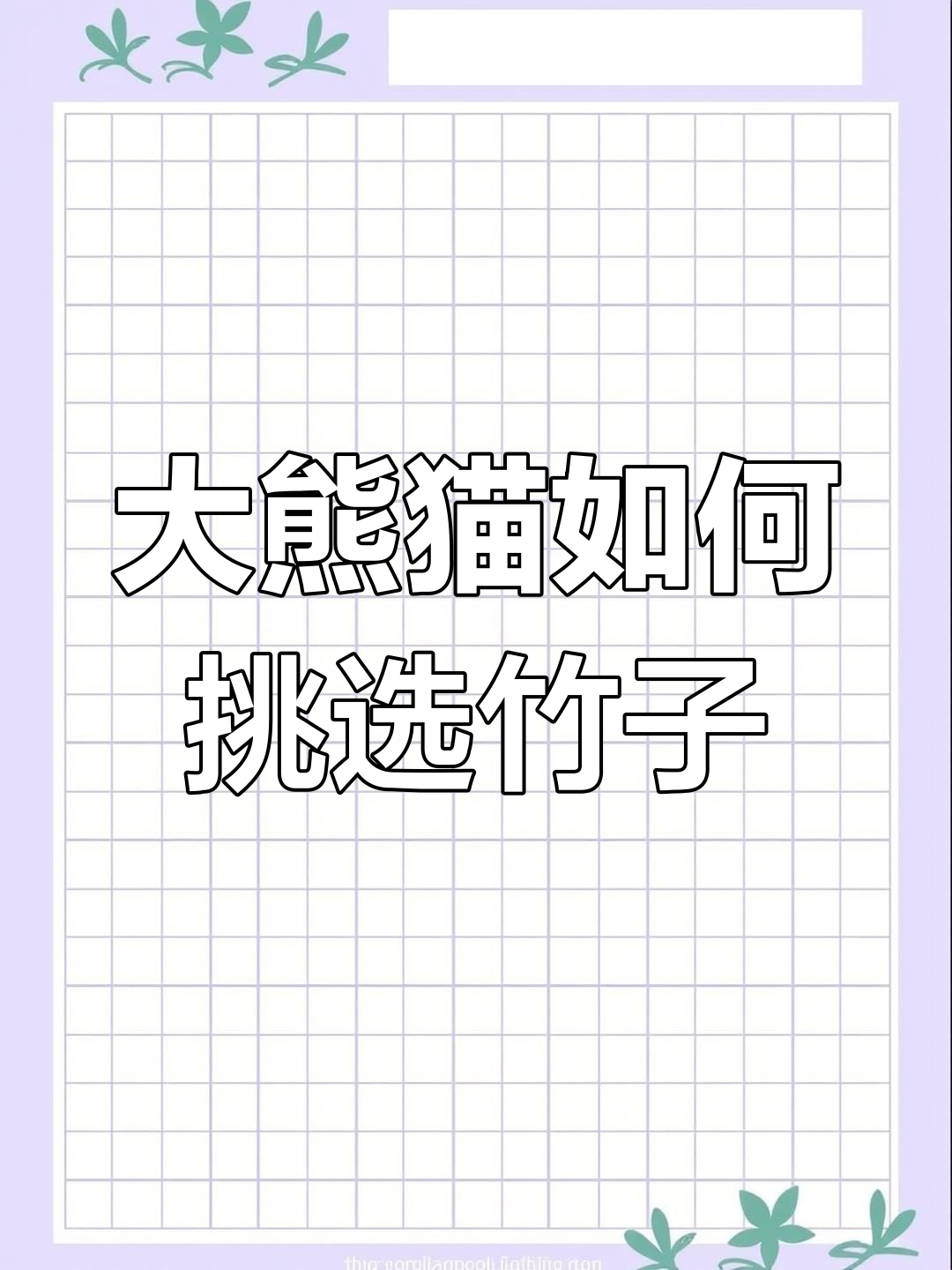 大熊猫吃竹子前先闻一闻,确认新鲜才开嚼!