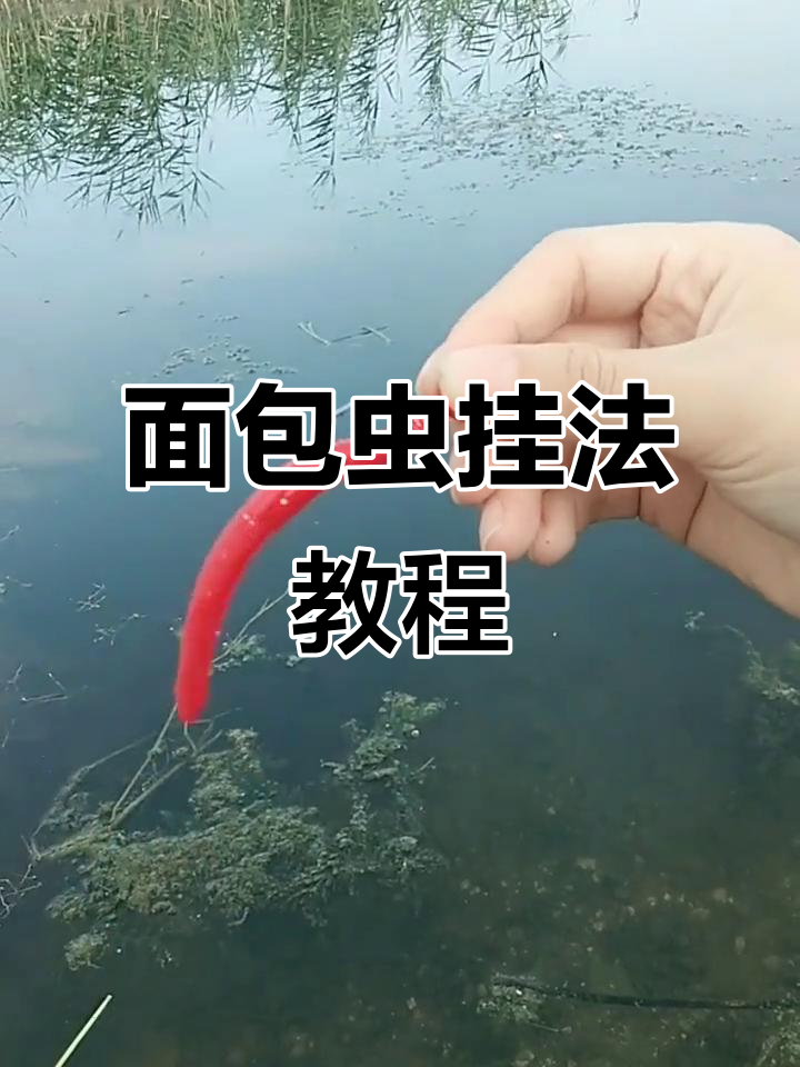 面包虫挂钩技巧大揭秘,轻松搞定两种穿法