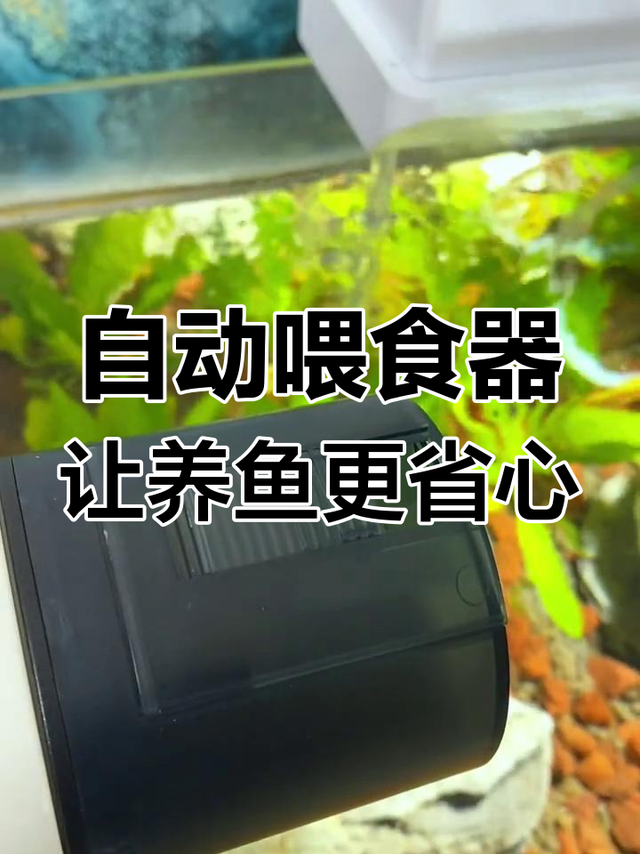 经常外出的必备自动喂食器,轻松解决鱼缸喂养问题