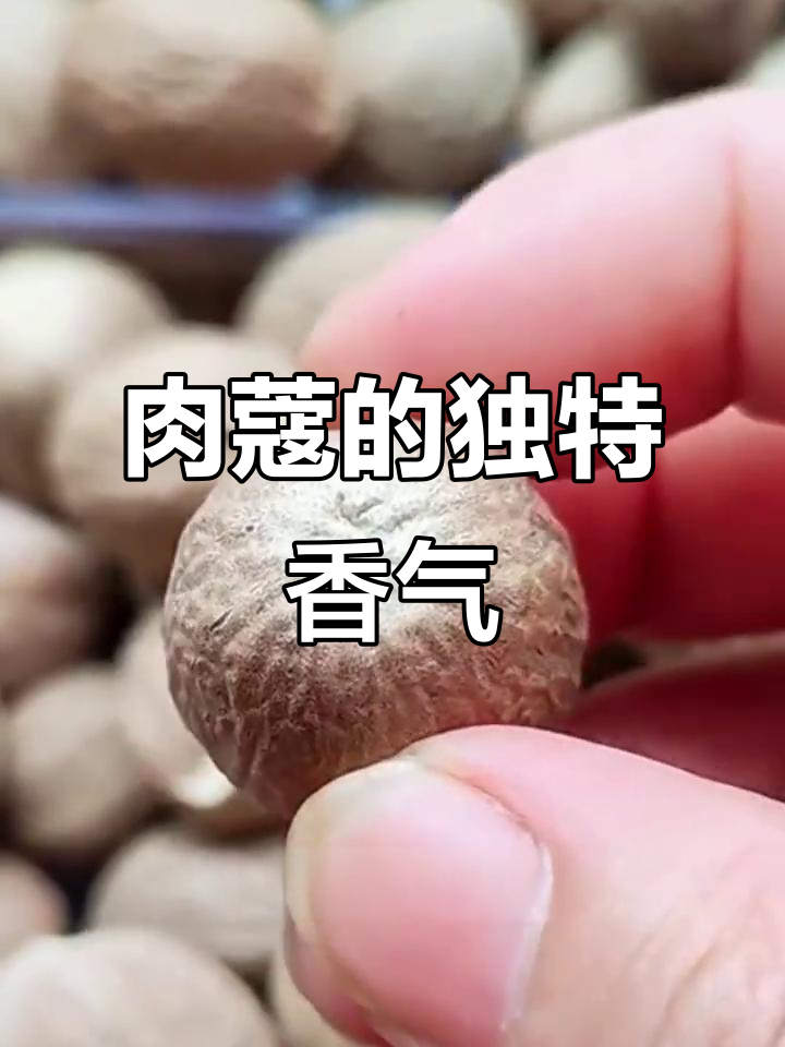 肉蔻：厨房里的“隐形香料”，炖汤烤点都能用得上
