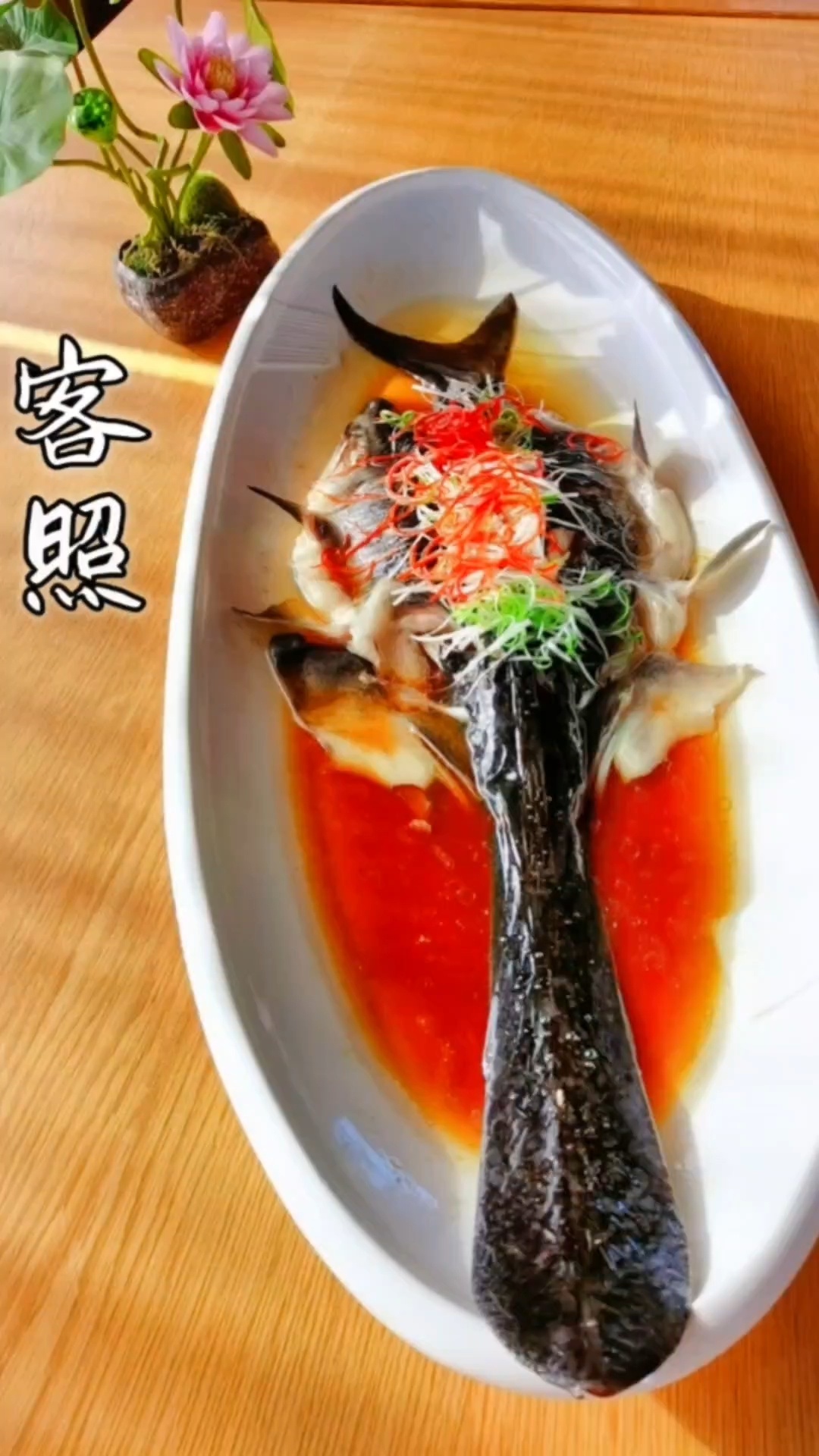 鸭嘴鱼多种做法你吃过吗
