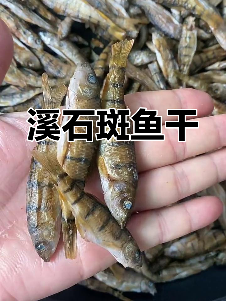 石斑鱼干烤制完成,公母分明,品质上乘