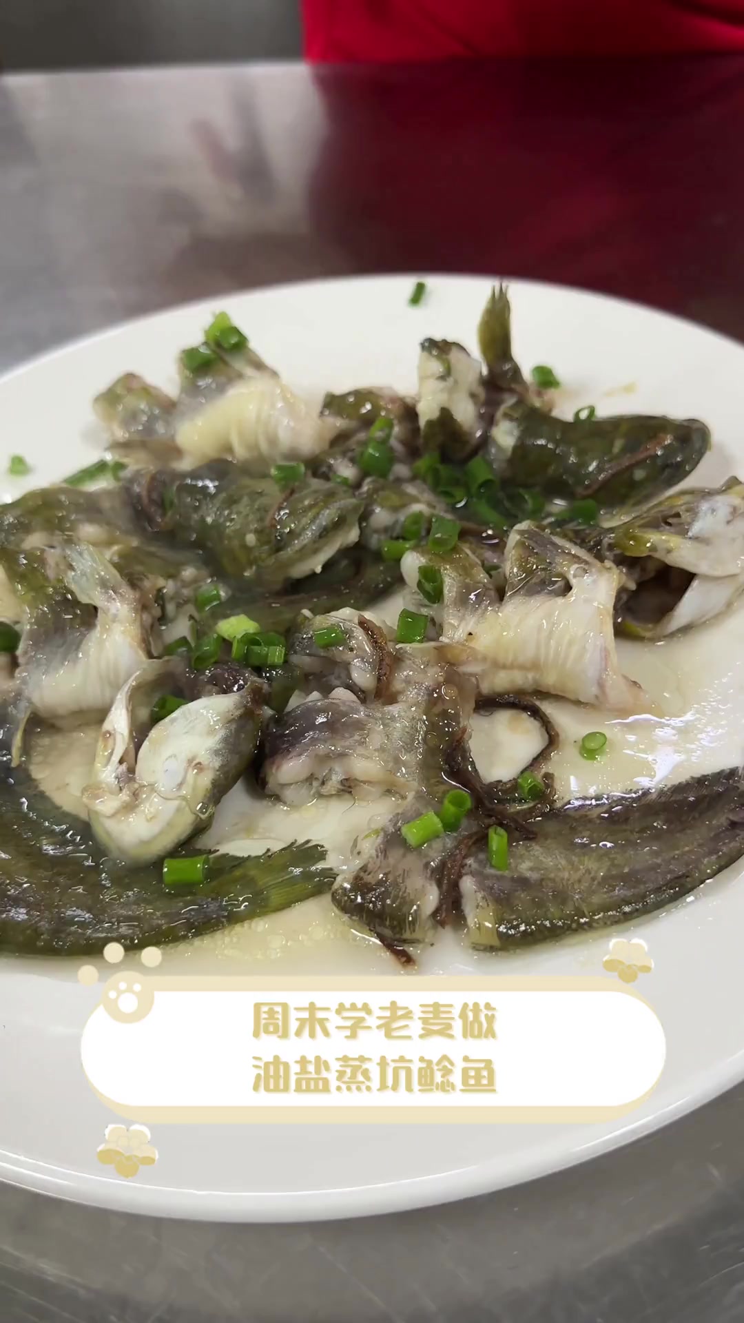 周末学老麦做,油盐蒸坑鲶鱼