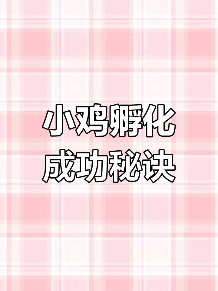 水床孵化技巧大揭秘:如何提高小鸡出壳率