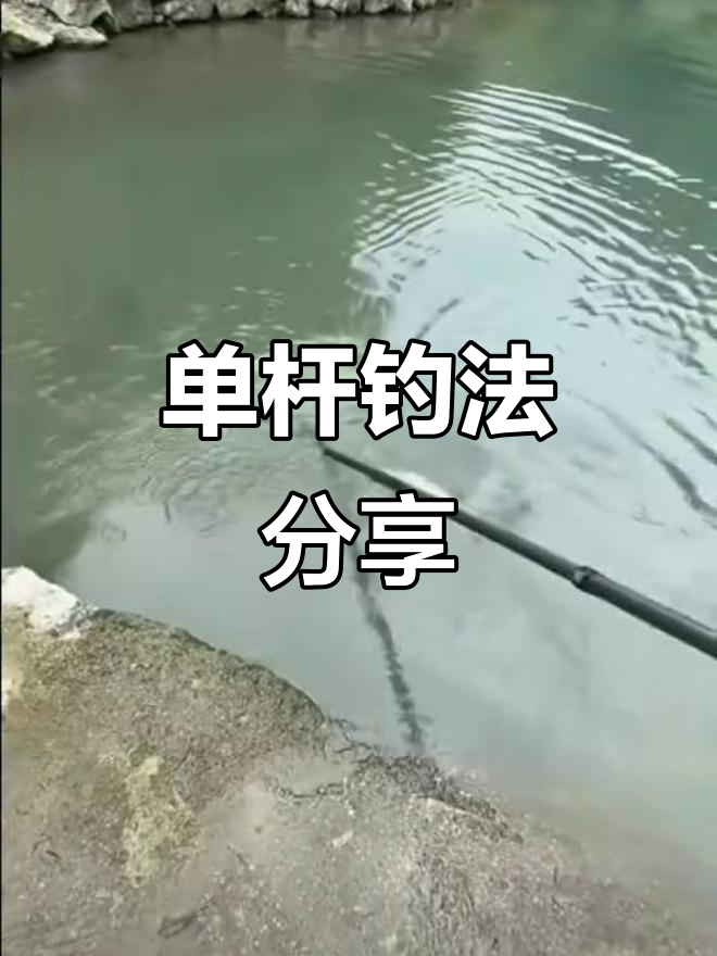 越南老表户外钓鱼,单杆一体杆抓鱼技巧大揭秘