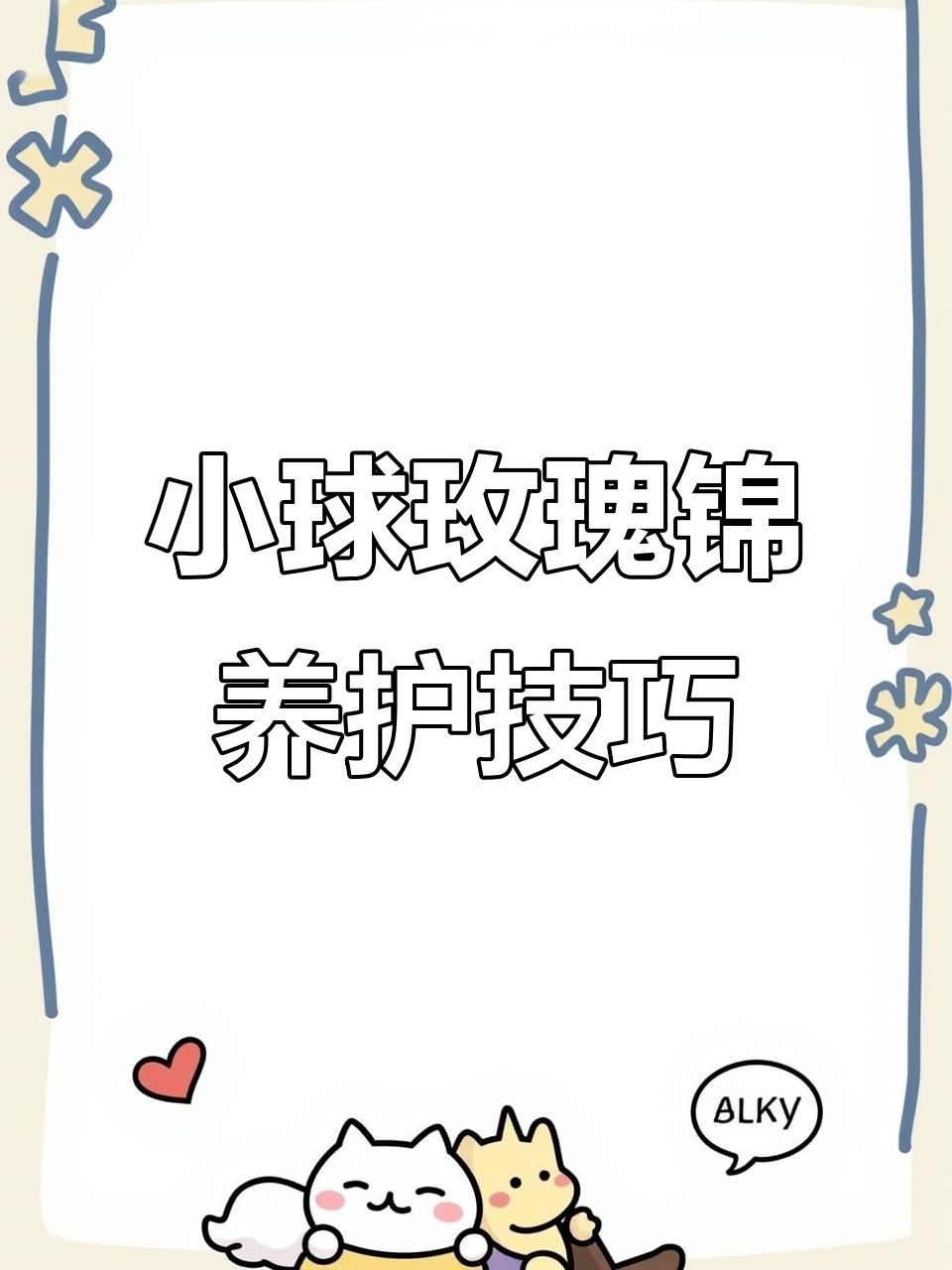 小球玫瑰锦养护全攻略,轻松打造小老桩!
