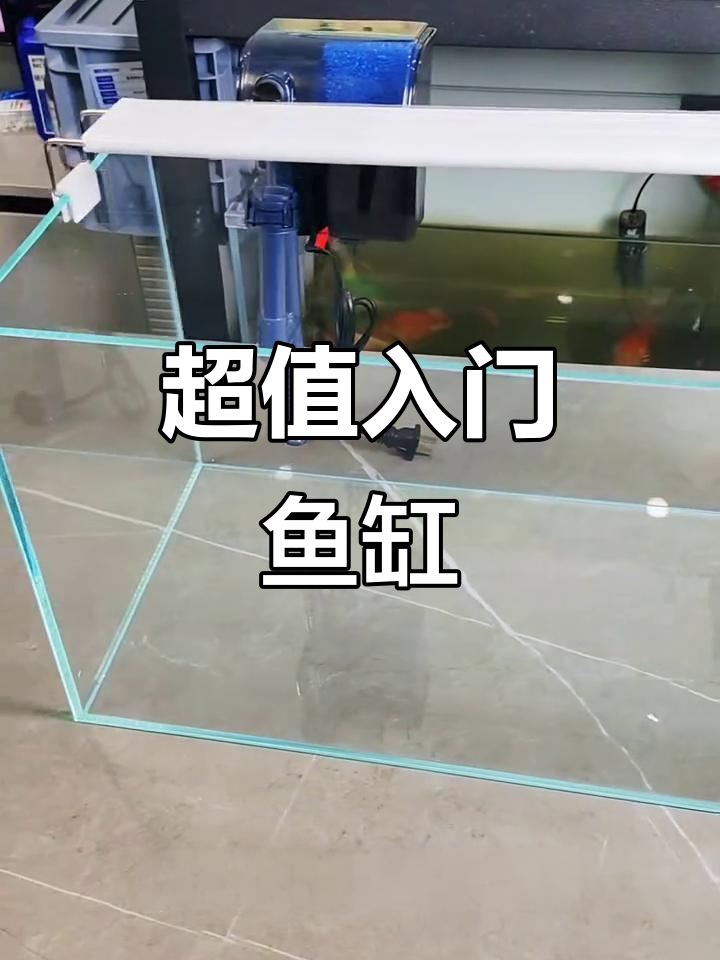 初学者必备,性价比高超白鱼缸,大小可选
