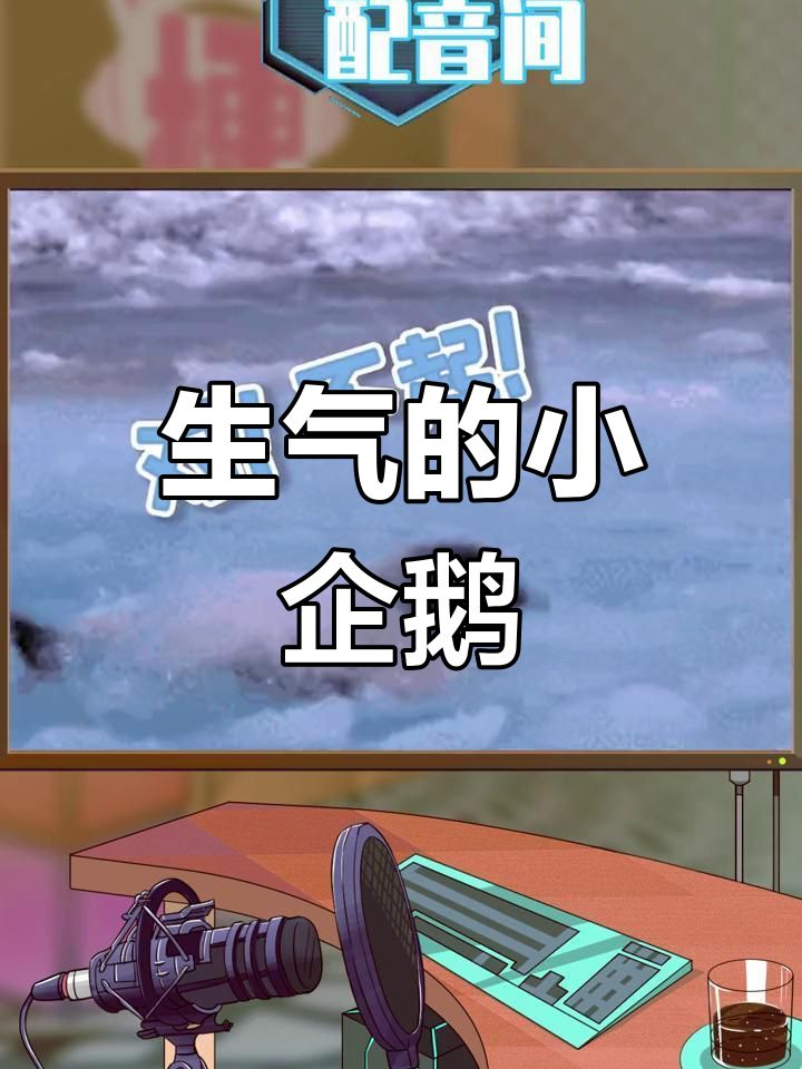 小企鹅摔倒后生气回应海豹嘲笑