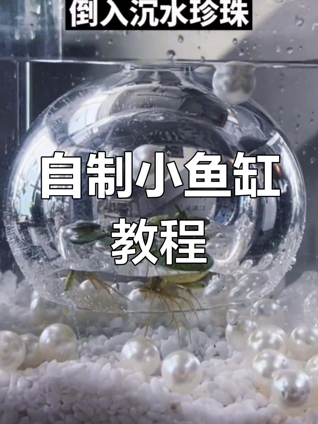 轻松打造天空之城水族缸,养鱼乐趣无限