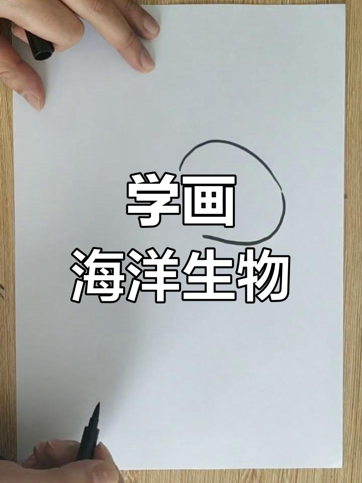 绘制可爱章鱼,轻松学简笔画