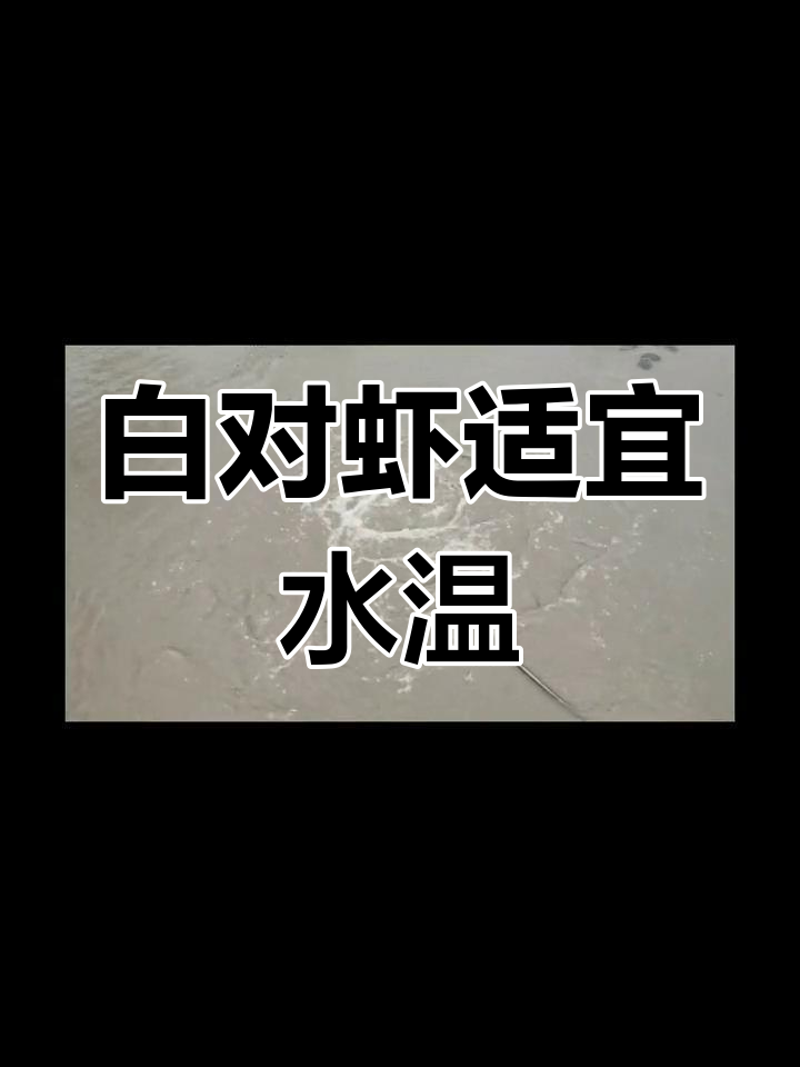 南美白对虾生长最适温度揭秘,高温低温如何应对?