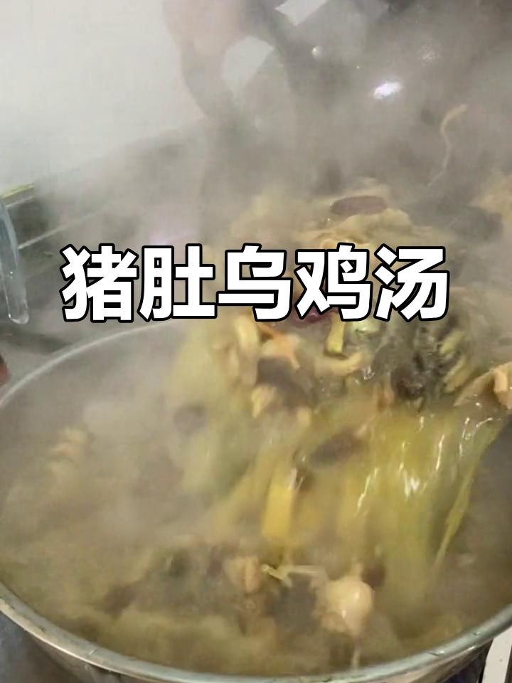 猪肚鸡火锅,鲜香滋补暖心窝