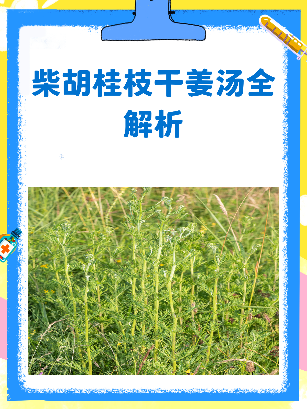 柴胡桂枝干姜汤，一剂多效的中医良方