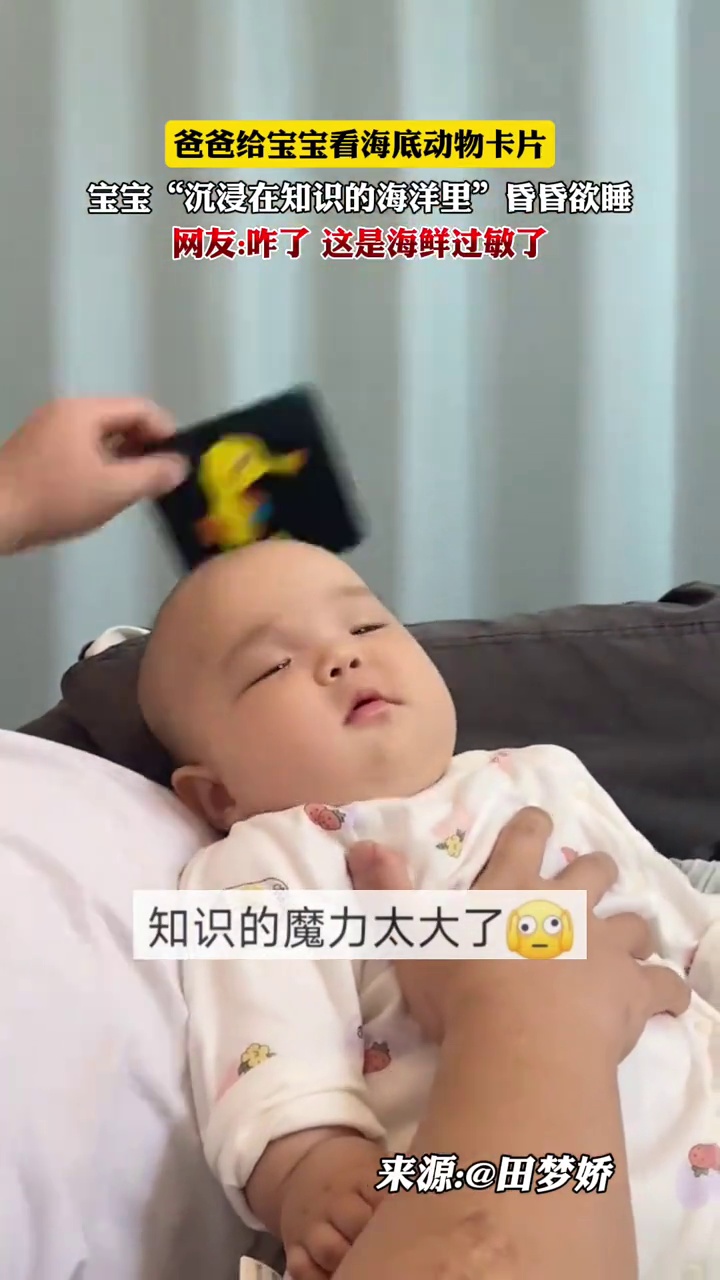 爸爸给宝宝看海底动物卡片,宝宝“沉浸在知识的海洋里”昏昏欲睡