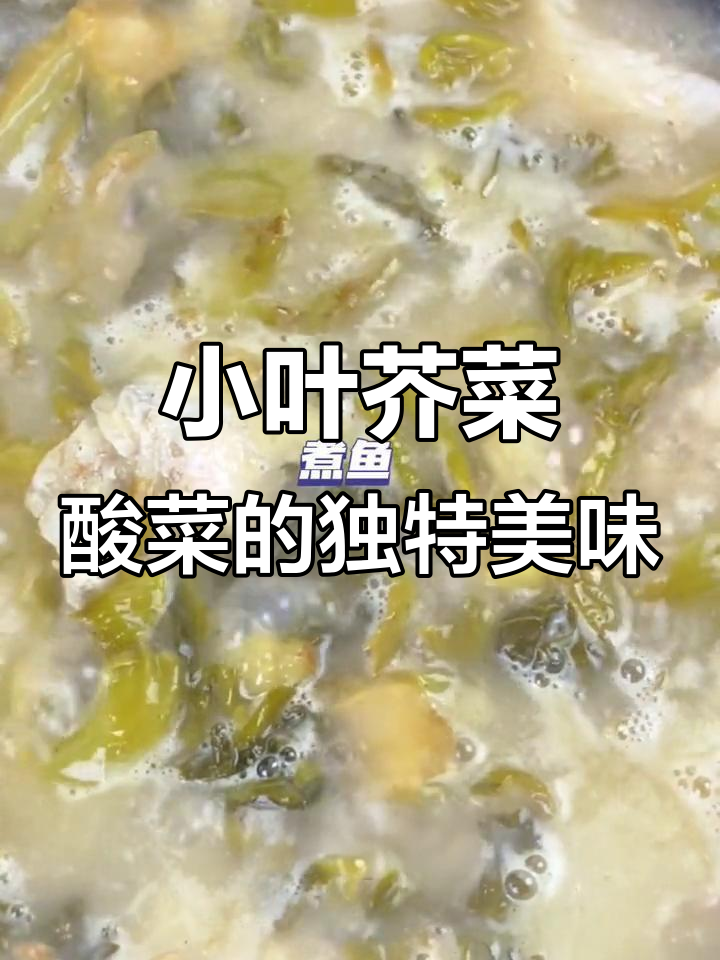 酸脆嫩滑的小叶芥菜酸菜,炒鱼炒菜都超下饭