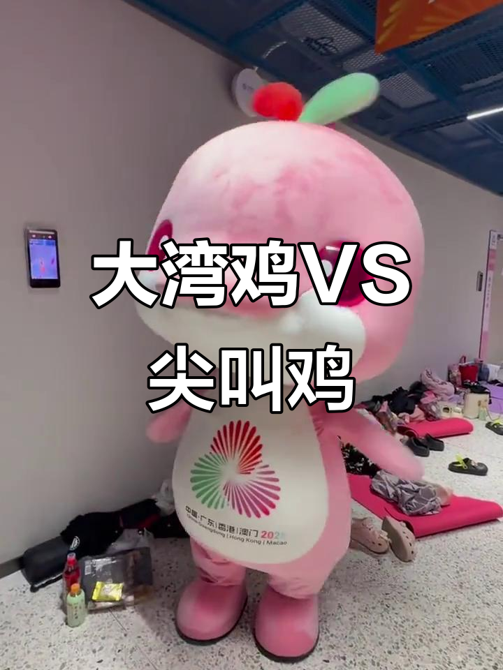 大湾鸡与尖叫鸡的搞笑对决,太萌了!