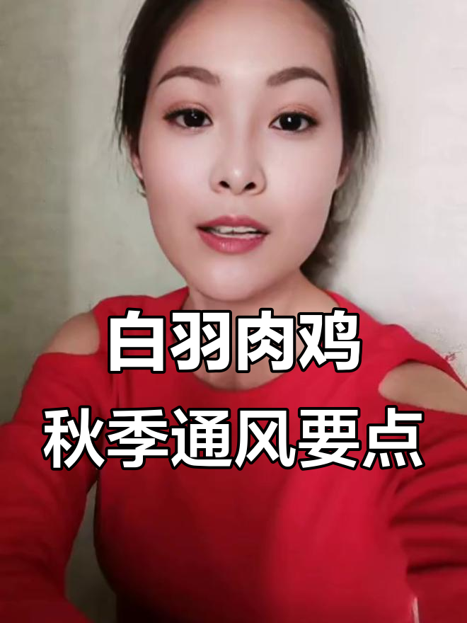 初秋温差大,白羽肉鸡通风管理技巧