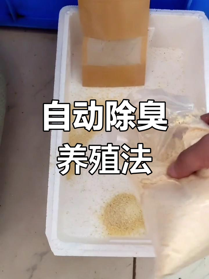 发酵床养鸡,粪便自动分解,持久清新无异味