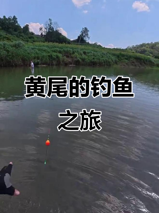 黄尾鱼进化史:从溪流钓到豆豉鱼的蜕变