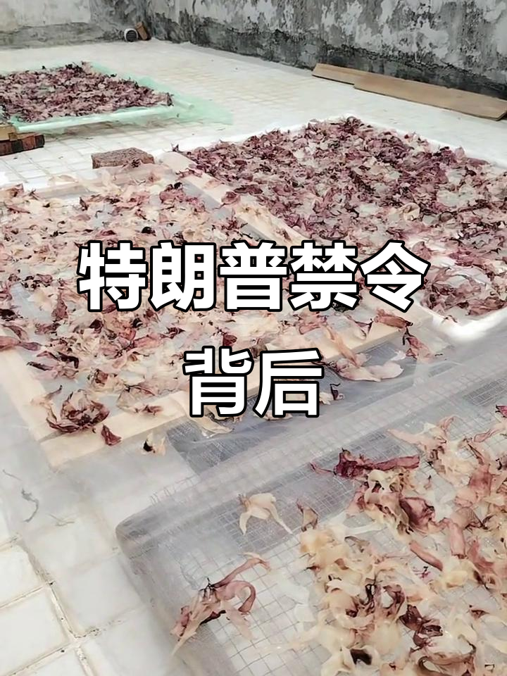 特朗普的佛祖菜,竟然不让过!