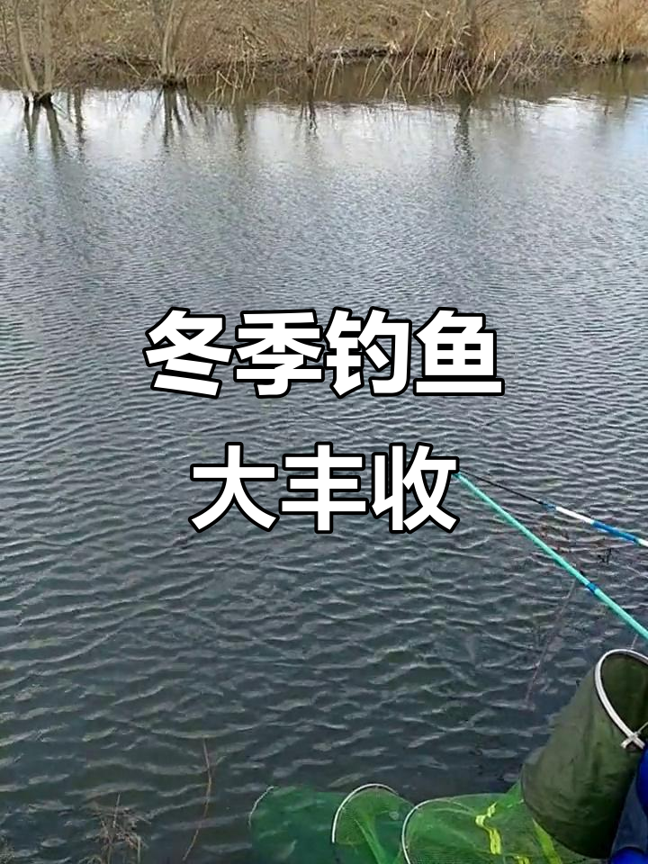 威海钓友分享：冰窟钓鱼乐趣，二十斤轻松搞定