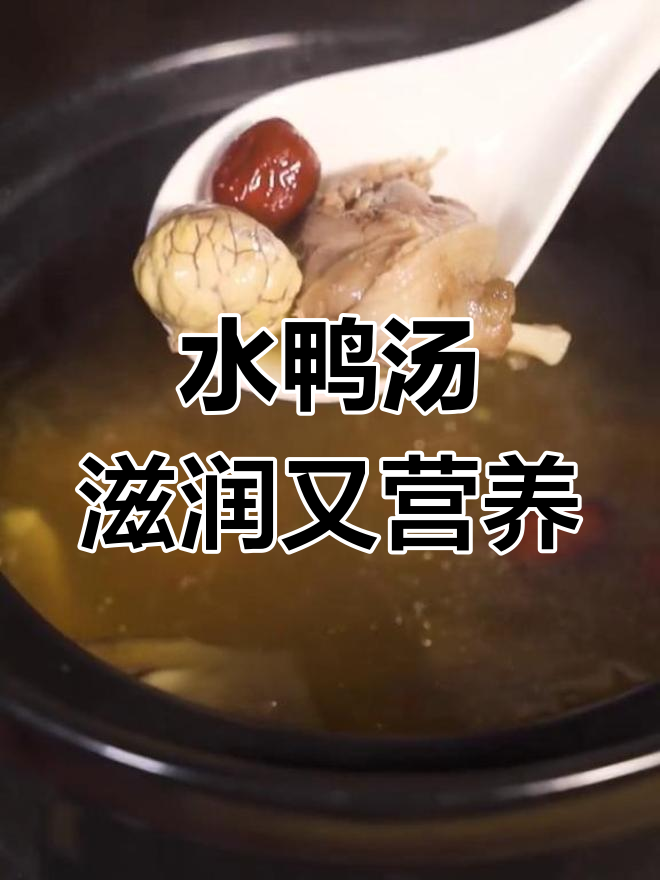 熬夜必备!温润滋补水鸭汤做法