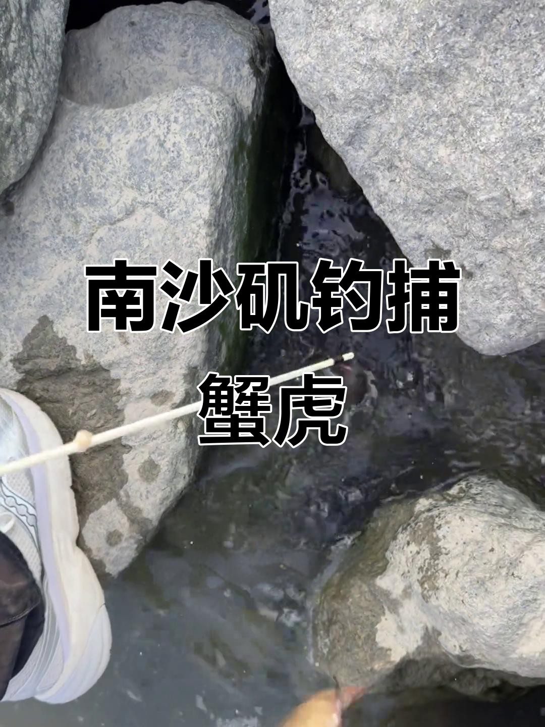 东莞南沙矶钓之旅,蟹虎鱼真实野钓体验