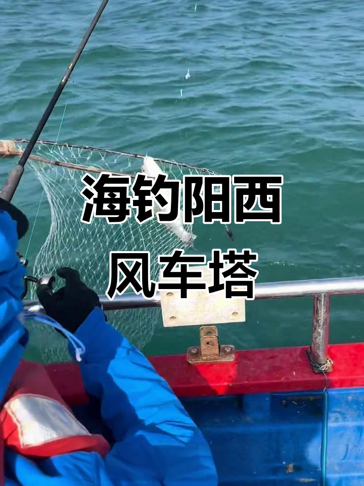 拼船海钓阳西风车塔,大花鱼和金钱斑双飞!