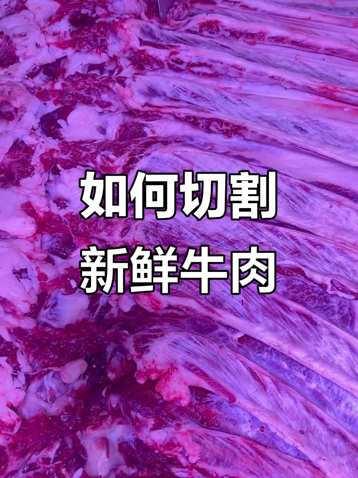 新鲜牛肉分割技巧大揭秘,轻松掌握
