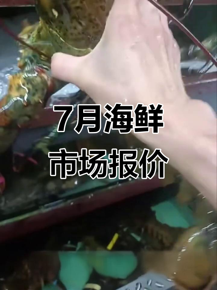 七月海鲜市场行情大揭秘:松叶蟹、牡丹虾等热销品种价格曝光