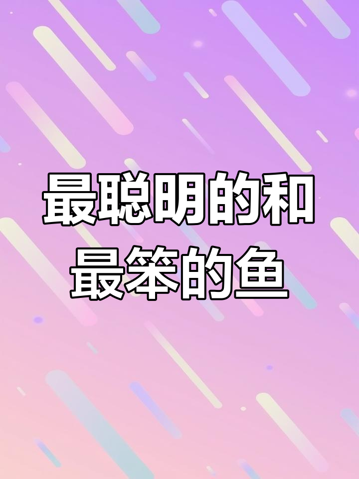 哪种鱼最聪明,哪个又最傻?