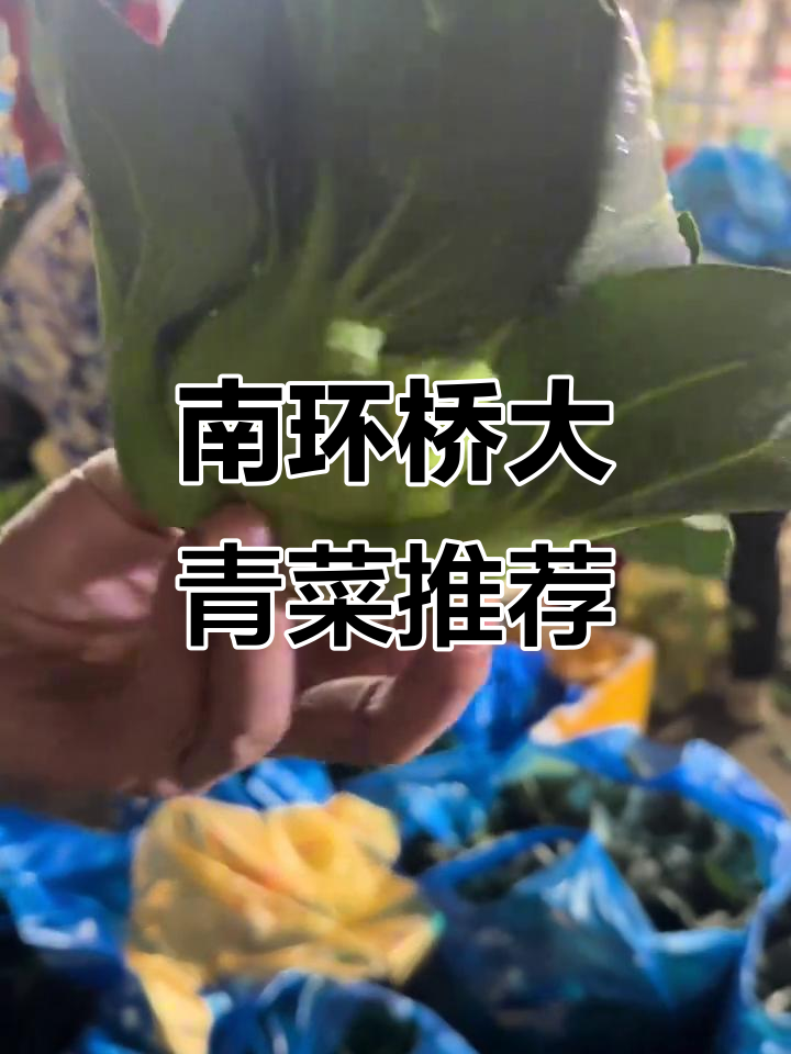 苏州南环桥市场大青菜,霜后软糯香甜,清炒咸肉菜饭必试