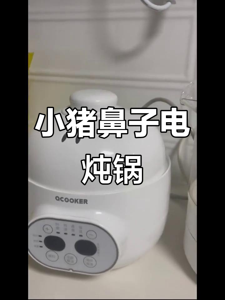这款小电炖盅太实用了，功能多样又便宜