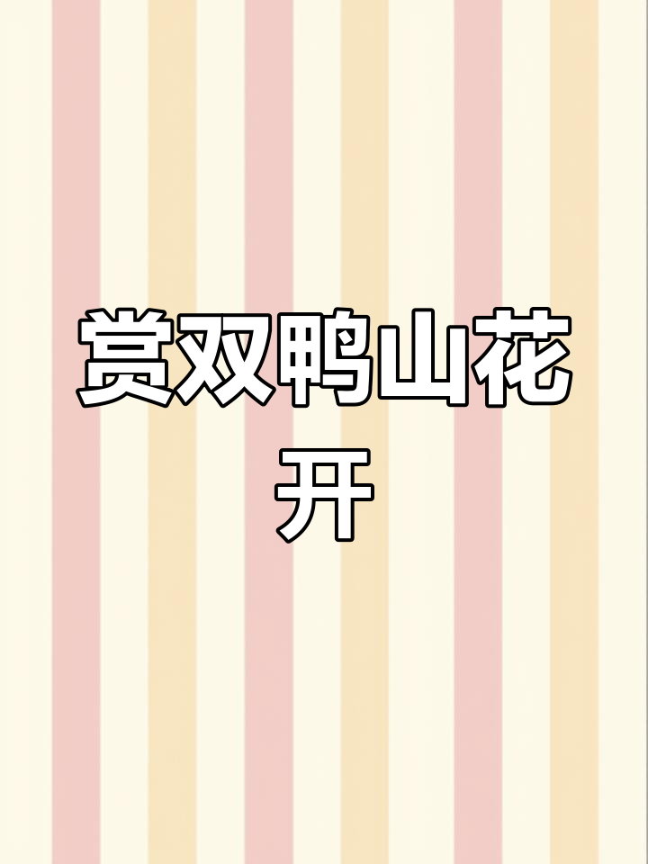双鸭山尖山区益寿山环路花墙美景