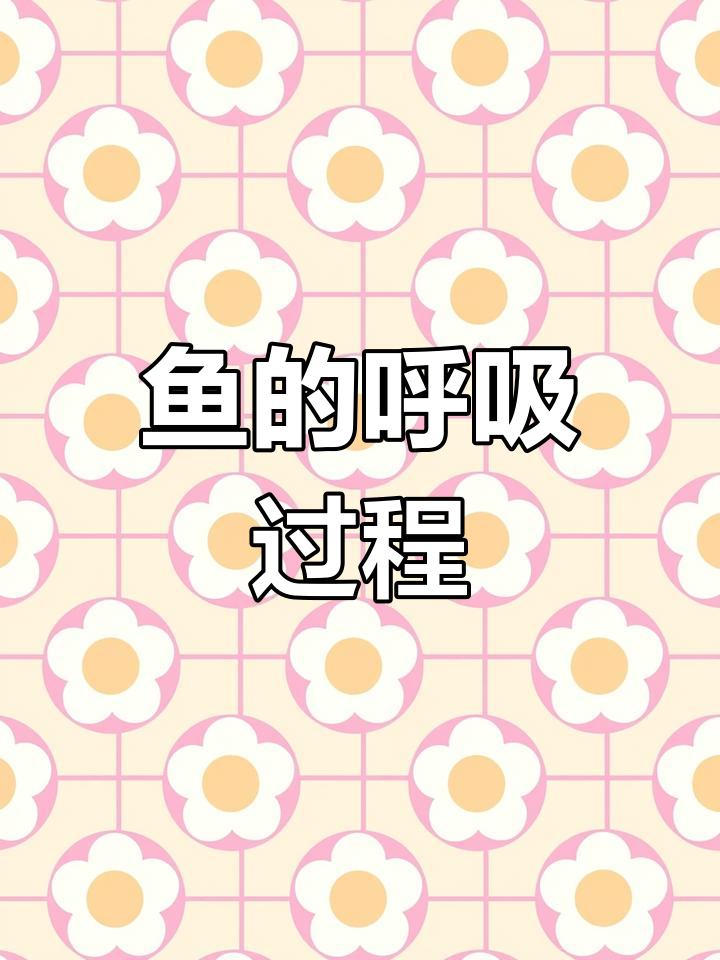鱼是如何通过鳃呼吸的?