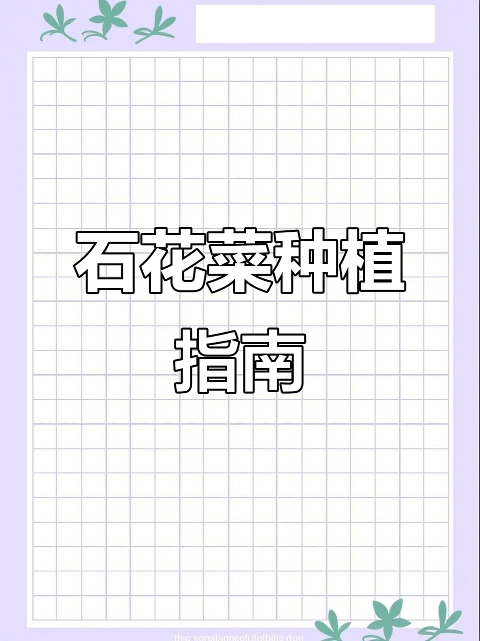 春季种植石花菜,轻松学会技巧