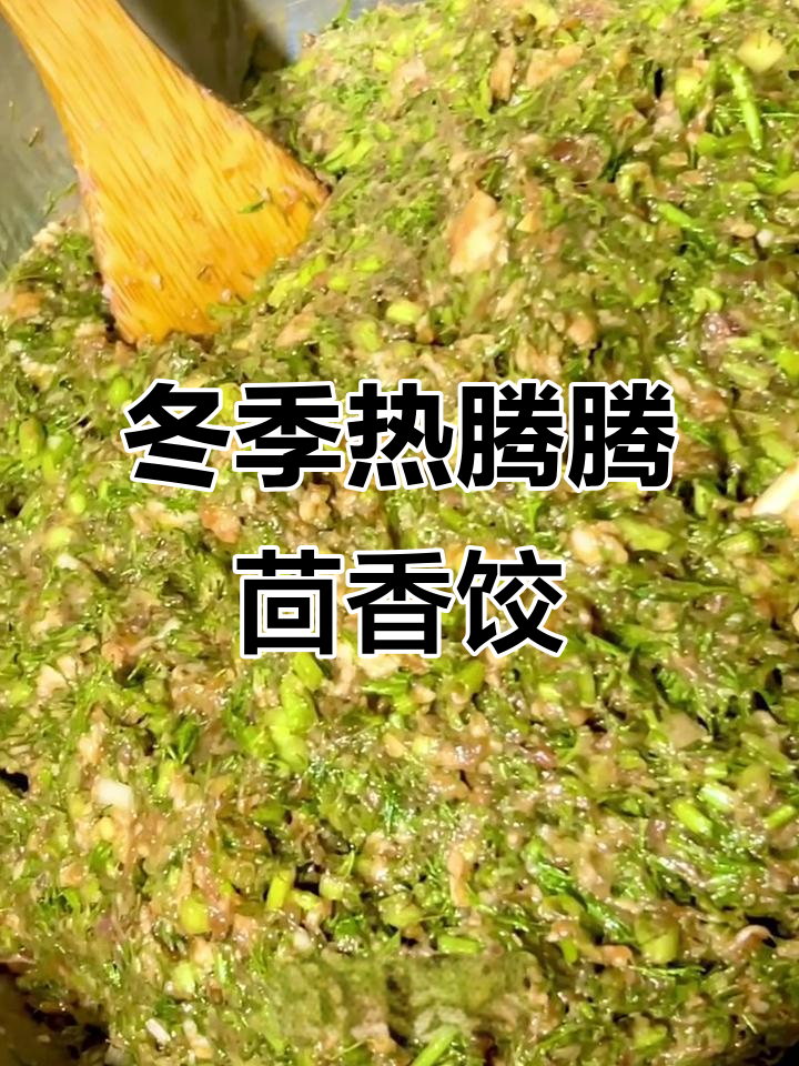 立冬必吃茴香猪肉饺子，教你包出完美薄皮大馅儿