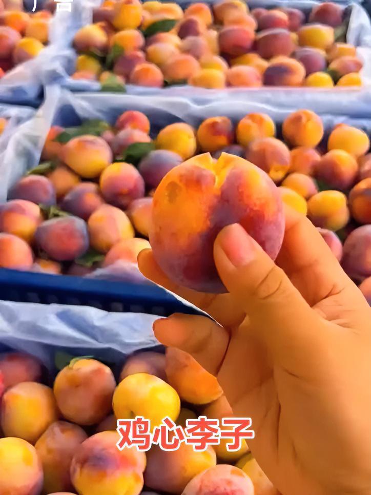 鸡心李子 东北水果
