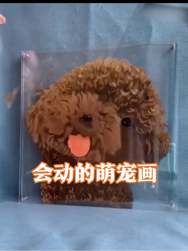 多层亚克力板玩出花!猫咪狗狗秒变动态表情包