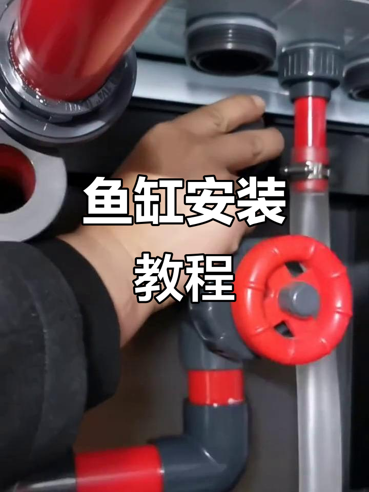 鱼缸安装超简单,手把手教你轻松搞定!