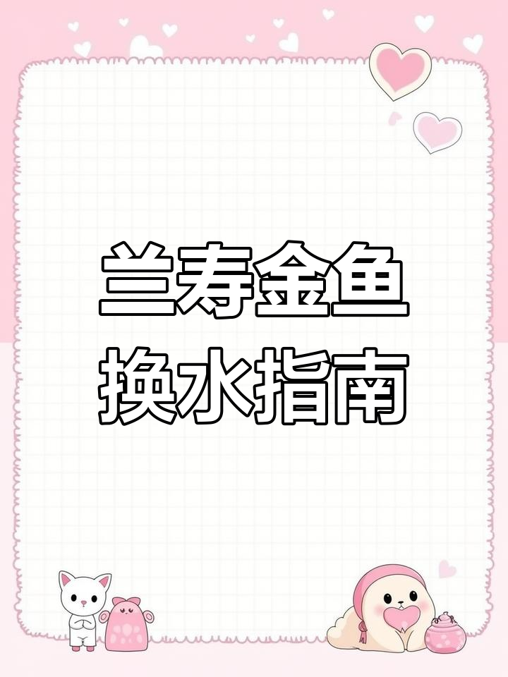 兰寿金鱼换水技巧大揭秘,如何正确操作避免水质恶化