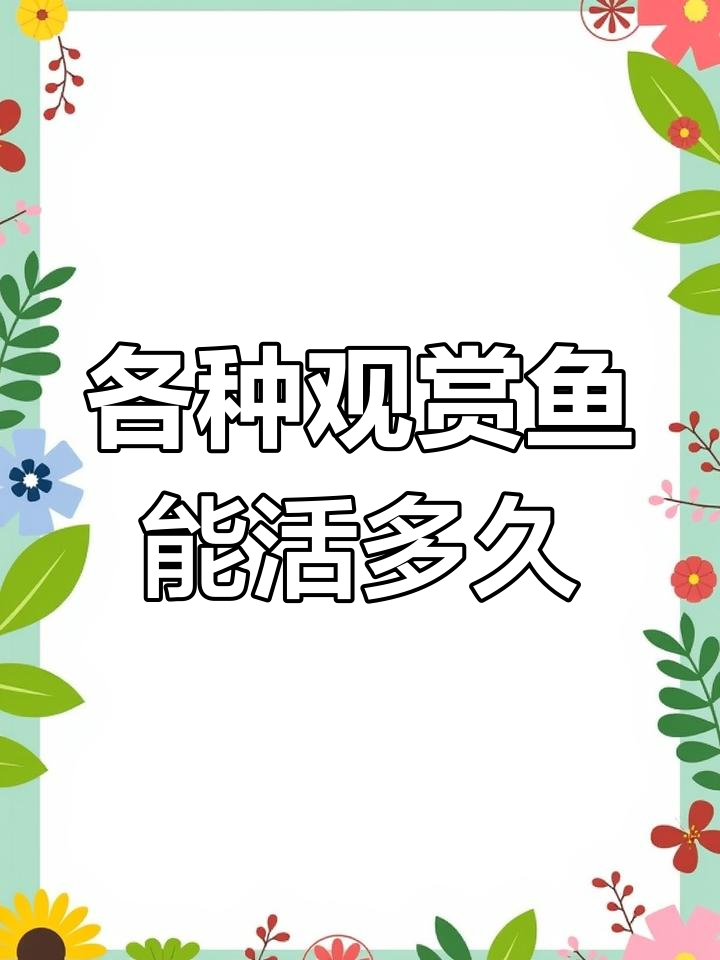 常见观赏鱼寿命大揭秘,孔雀、丽丽和斗鱼的陪伴时长