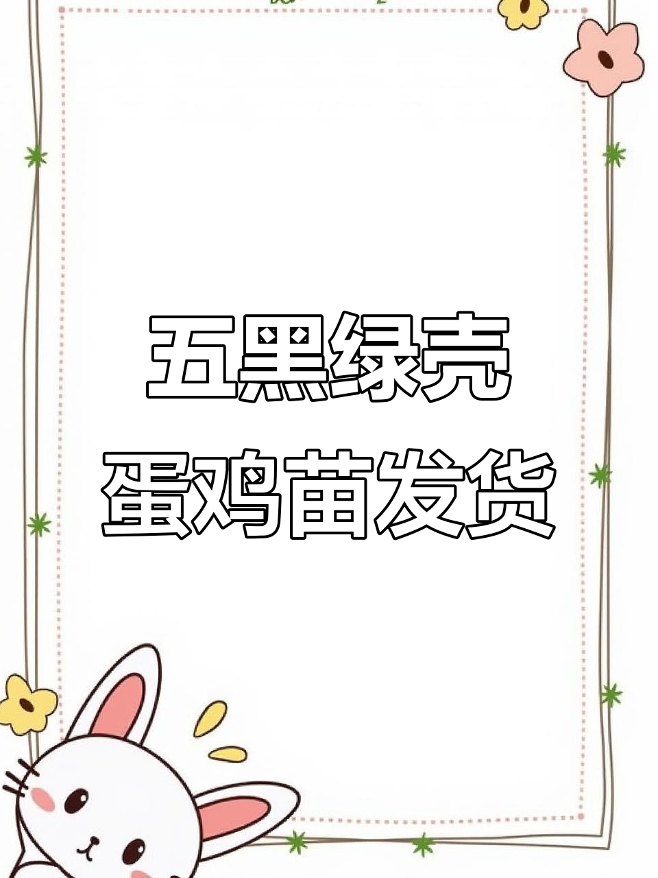 12000只五黑绿壳蛋鸡苗,品质稳定送货上门
