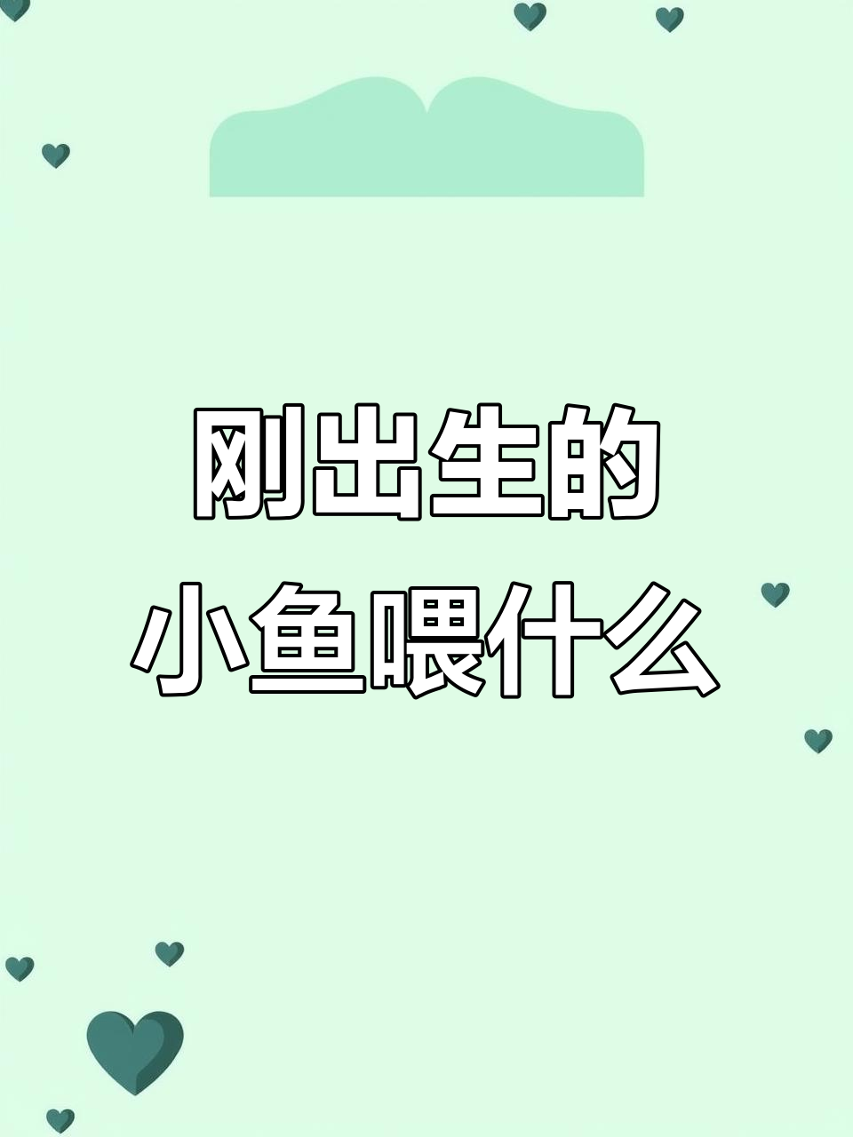 小鱼出生后如何喂养?高蛋白饲料是关键