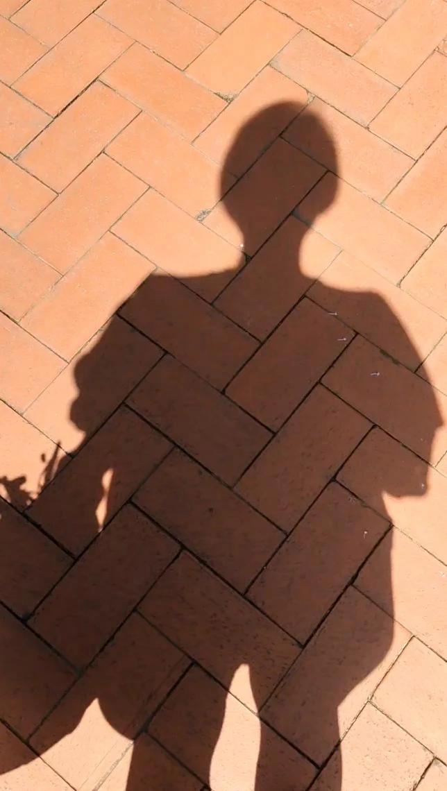 买把两块钱的藤藤菜,煮面可以用三回