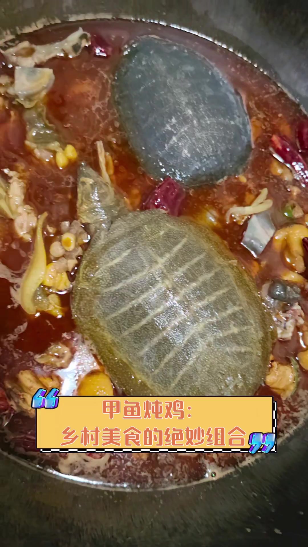 甲鱼炖鸡:乡村美食的绝妙组合