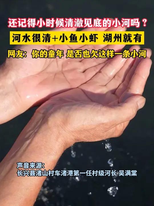 还记得小时候清澈见底的小河吗?河水很清+小鱼小虾 湖州就有。网友:你的童年 是否也欠这样一
