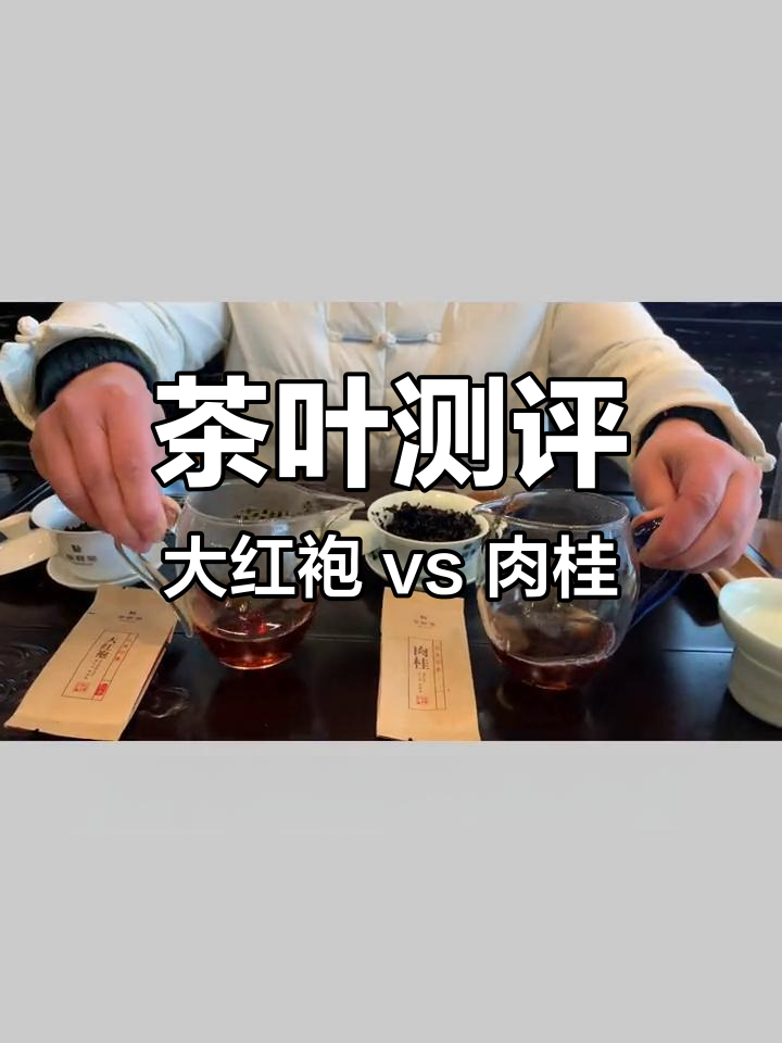 大红袍与肉桂茶对比评测