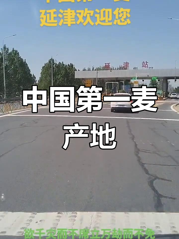 延津县:小麦与火烧的故乡